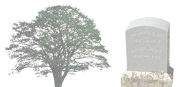 oak tree and tombstone