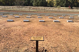 Negro Hill Relocation Cemetery