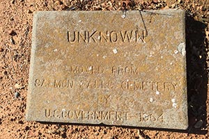 Tombstone at the Salmon Falls Cemetery