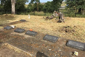 Tong Cemetery