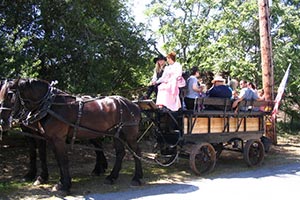 Visitors at Clarksville Day 2009