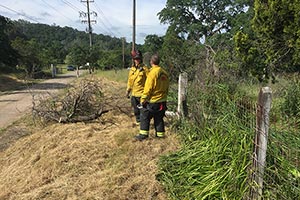 Clarksville Day Cleanup 2017