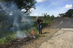 Clarksville Day Cleanup 2017