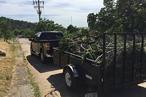 Clarksville Day Cleanup 2017