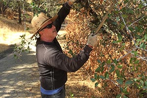 Lincoln Highway Clean-up Day September 22, 2016