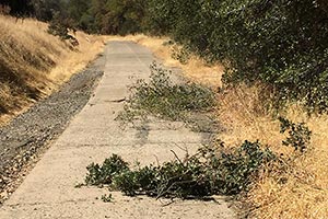 Lincoln Highway Clean-up Day September 22, 2016